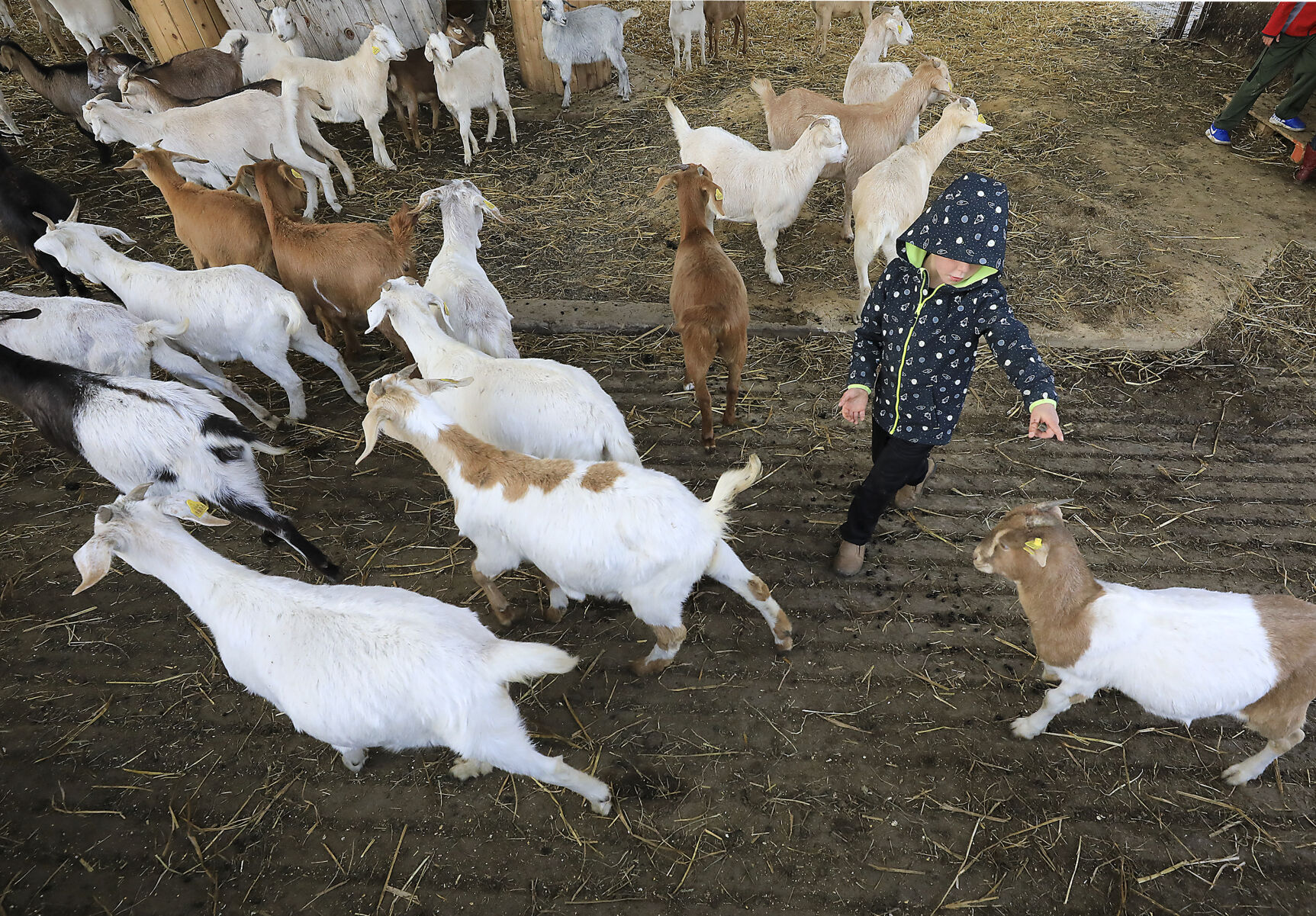 Grazing 07-11192020133506